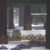 𝙿𝚝𝚎𝚗4𝚒𝚔☠️