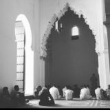 قناة : دَلائِـل |