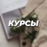 КУРСЫ 📚