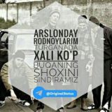 RaDNoYLaRM😎👿👍