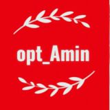 Opt_Amin