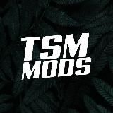 𝙏𝙎𝙈 𝙈𝙤𝙙𝙨 | 𝘽𝙚𝙖𝙢𝙉𝙂.𝙙𝙧𝙞𝙫𝙚