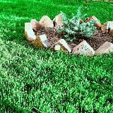 Тонги Саломлар ❄️