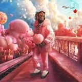 New Music Daily ™️