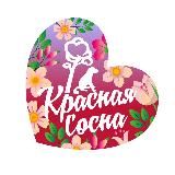 Приют для собак «Красная Сосна»