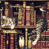 Страницы забытых книг