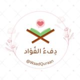 دِفءُ الفُؤاد💗🌿.