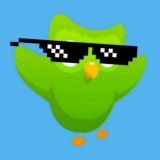 Duolingo and Language Learning