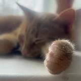 Духовности