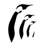 🐧 p3nguins public 🐧