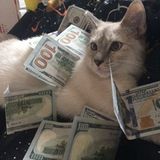 ꜱᴏᴍᴇ ᴘʀᴇᴛᴛʏ ɢɪʀʟꜱ