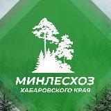 Министерство лесного хозяйства и лесопереработки Хабаровского края