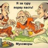 Кришнаитские новости