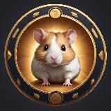 Hamster Kombat Комбо Хомяк