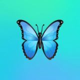 💎Wall Street Premium 💎