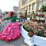 Путешествия * Истории * Природа