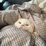 Полезности для удаленки✌️