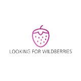 Не советую читать