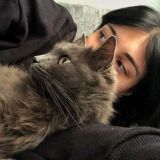 انتي،جميله عبارات | تحفيزية