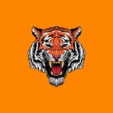 Tiger Hack🇹🇷[CHAT]