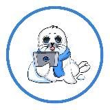 Блог нерпы BeSeed 🦭