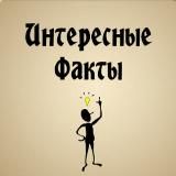 Интересные Факты