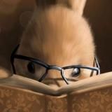 🐇мои книжки