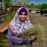 ⚜️ Алина Лайв ⚜️