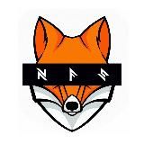 NightFoxStore