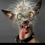 STIKER YASAB BERAMIZ