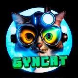 😺GYNCAT News🐾