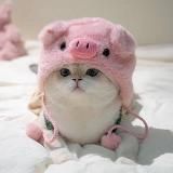 Инвестировал в инвестиции (0 баланса)