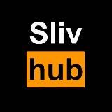 SLIVHUB