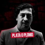 Plata o Plomo