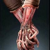 👑 قناة المفاضلة 6 (clinic) 👑