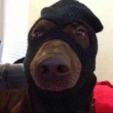 لمةه العفطيهه، ♡☻ ،.