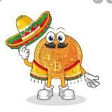 🌮Amigo Crypto🌮