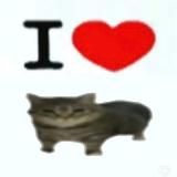 ✙ готуйте мені гробек ✙