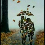 🖤 D͛u͛n͛y͛o͛d͛a͛ b͛i͛t͛t͛a͛y͛u͛ 💔