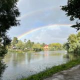 Чат Немчиновки и Ромашково.