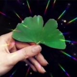 💒 *ك ا ف ه* ش ع ر*