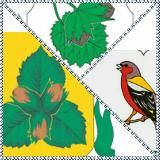 Орехово-Борисово Зябликово