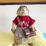 королевский