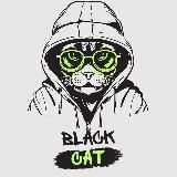 Black Cat | Cracked PC Software | Pirate