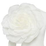 YULIA PROKHOROVA BELOE ZOLOTO