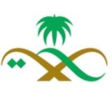 القناة الصحية