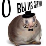 Киноведуньи