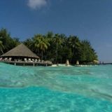 ♡♥🤣®{24}ONLAYIN🤣♥♡