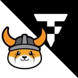 Floki & TokenFi Entry Portal