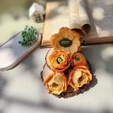 Master_model_Sadikova